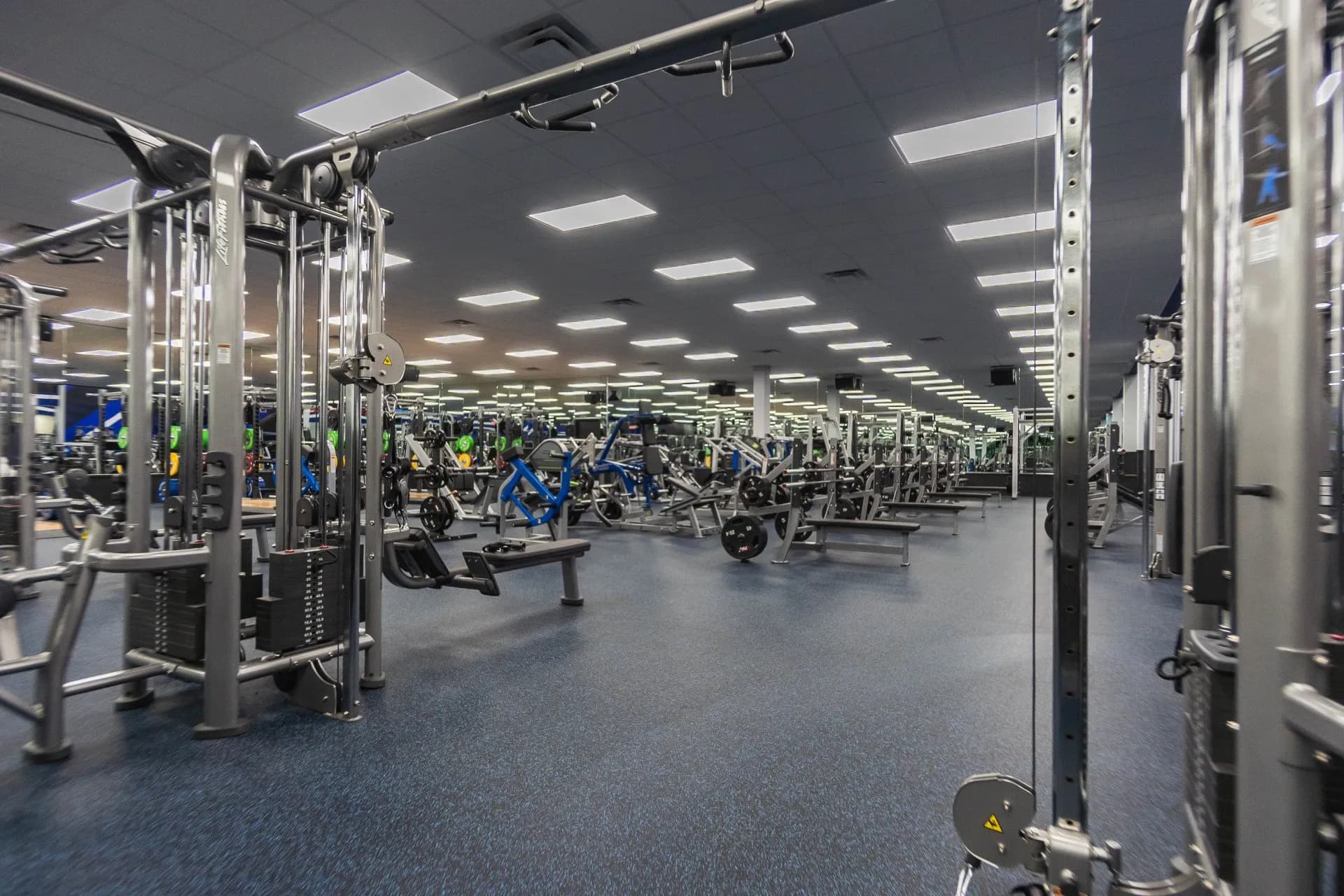Holbrook gym photo 13