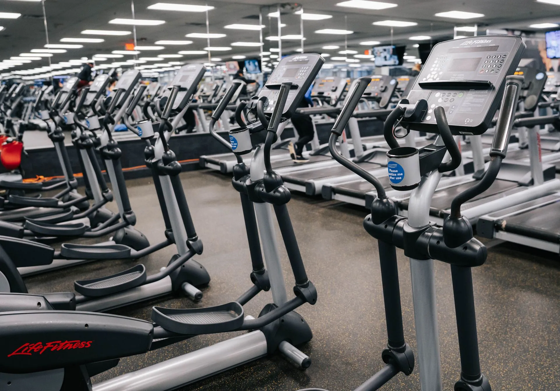 Shirley gym photo 13
